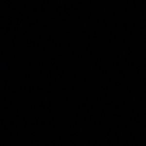 Meet your Posher, Kaci